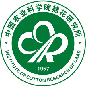 專利侵權分析報告